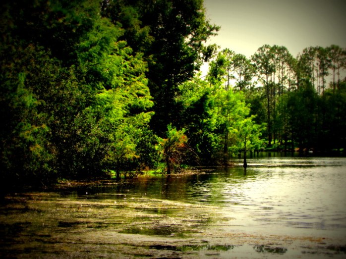 Deerfield-shoot-9-5-18-wrkd-2b (28)